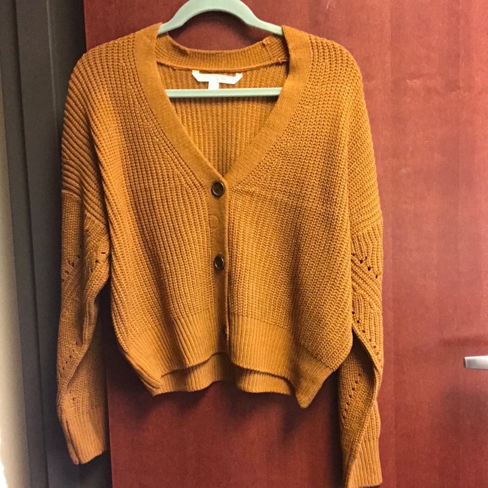 Cute Sweater